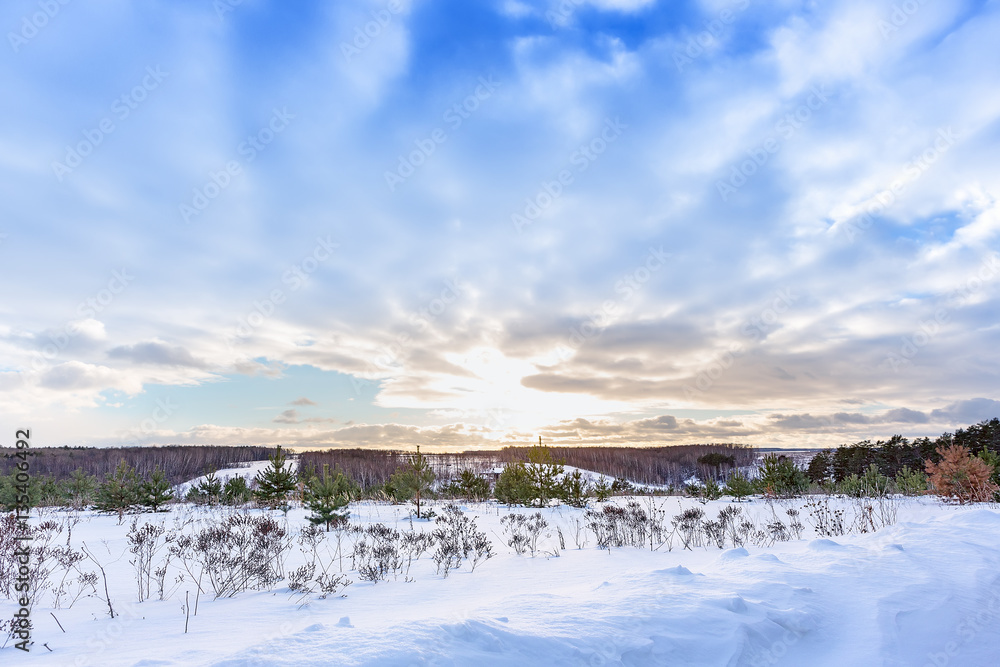 Winter January landscape. Tula region. Frosty decline.