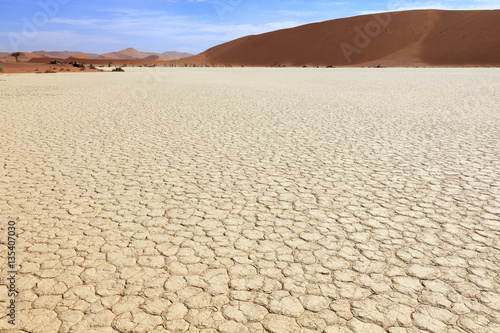 Salar in Sossusvlei Namibia