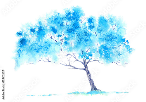 Blue tree. Watercolor hand drawn illustration.