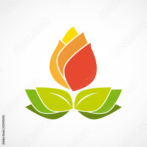 Orange flower with leaves natural green logo vector 