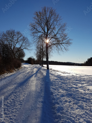 Winterlandschaft, Gegenlicht, Sonne photo