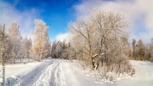 зимний пейзаж в лесу с деревьями в инее, Россия, Урал, февраль
