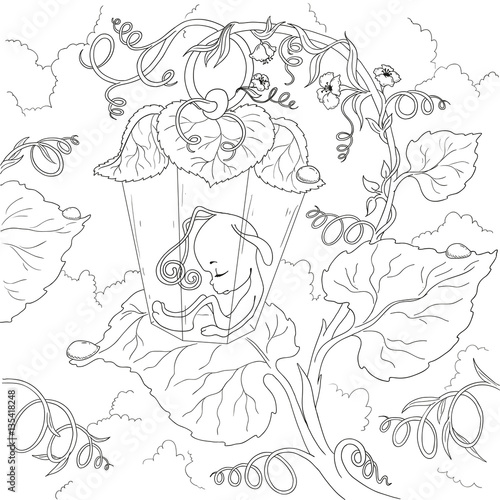Fairy cartoon character. Firefly Fairy sleeping in the leaves. Page coloring book. Vector isolated.