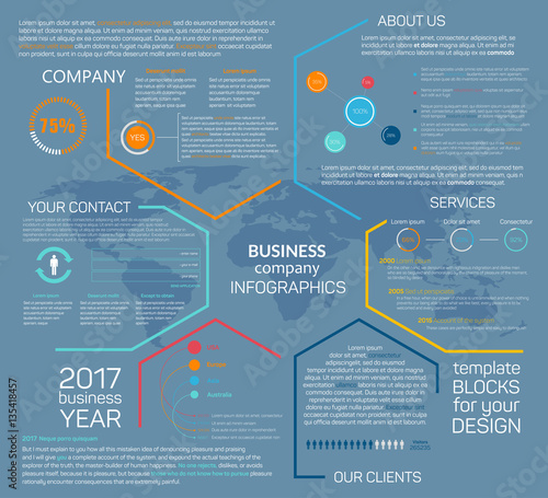 Business company vector infographics chart diagram