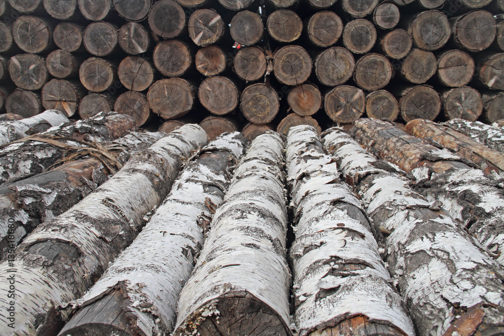 Holz Holz