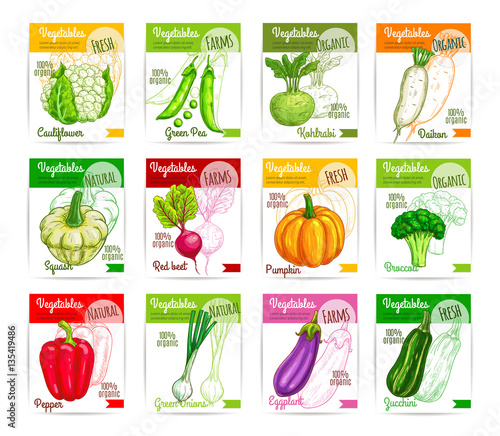 Vegetables vector price cards or labels set