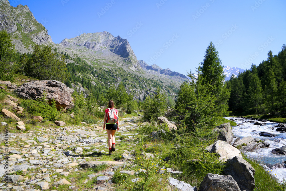 Mountain walking in a summer day