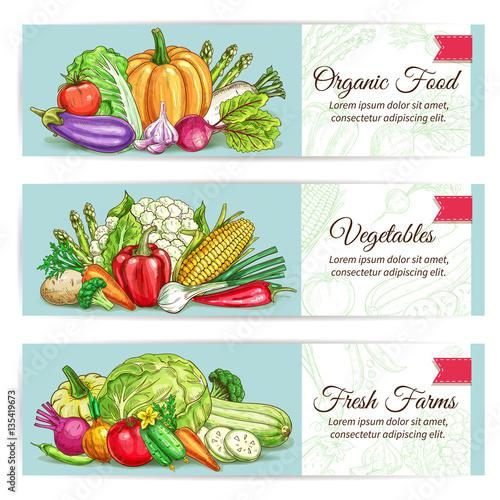 Organic vegetables food vector banner set