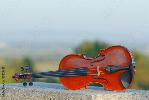 Geige auf Stein