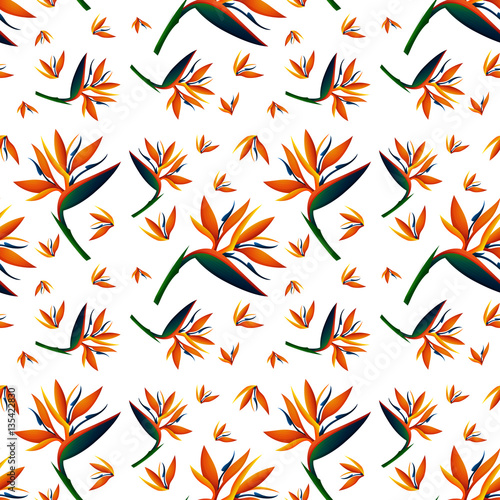 Seamless background design with bird of paradise flowers