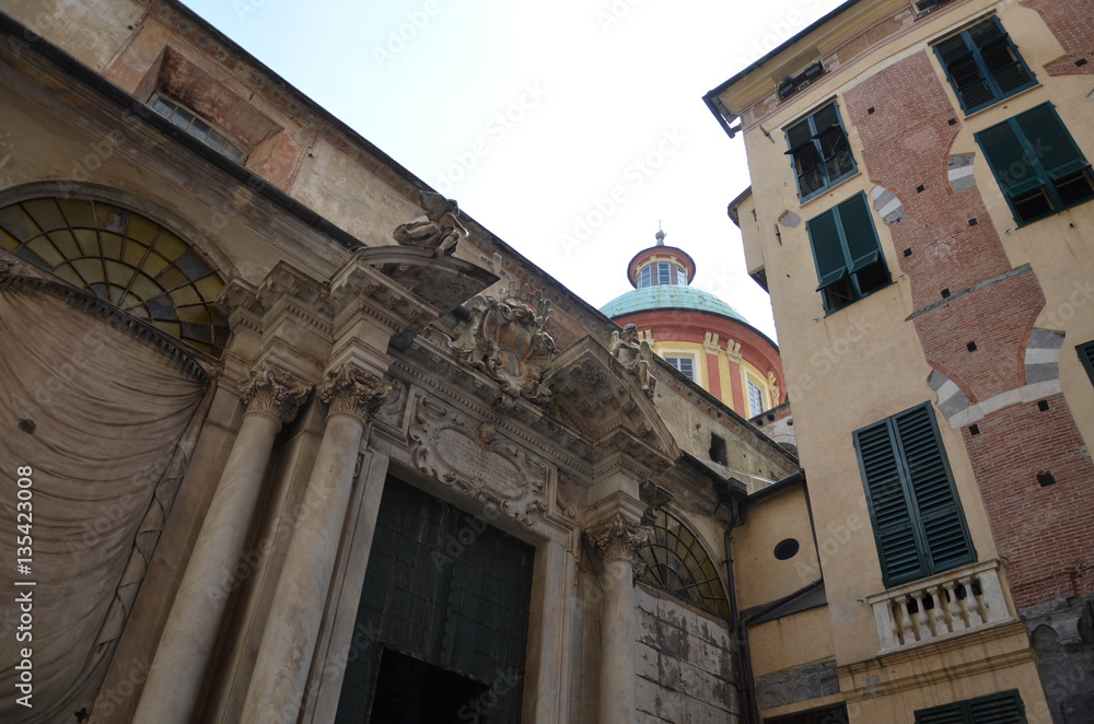 Fototapeta premium Genovese