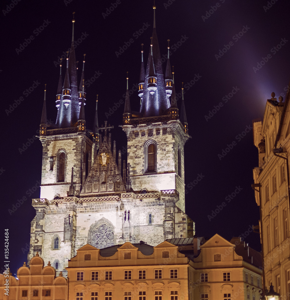 Naklejka premium Prague Cathedral