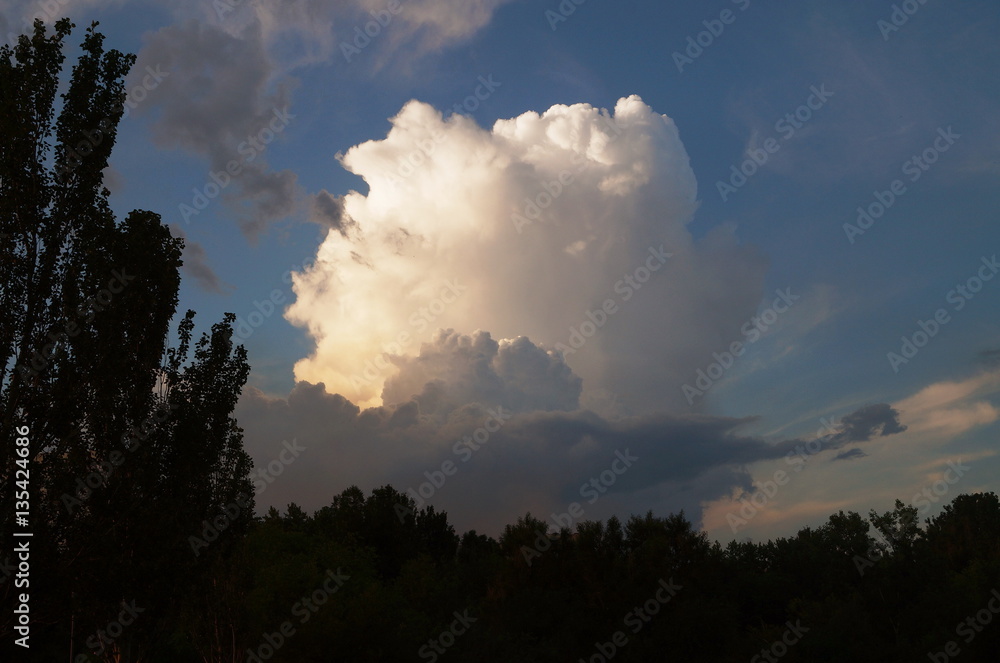 Big white cloud in the blue sky above the tops of green trees