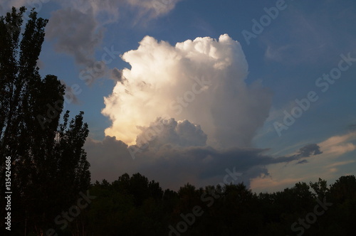 Big white cloud in the blue sky above the tops of green trees