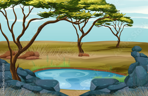 Scene with small pond in the field