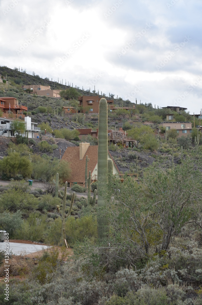 Obraz premium Cave Creek