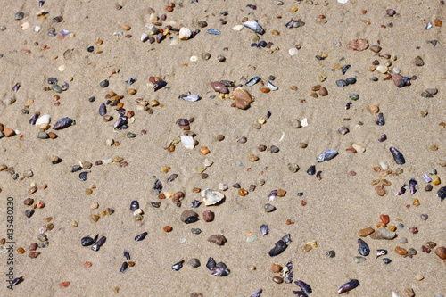 Pebbles and seashells on the beach