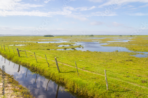 Puddles  at farm photo