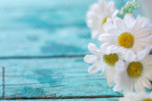 Daisies on blue boards