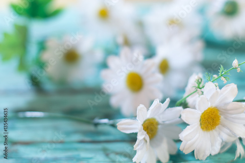 Daisies on blue boards