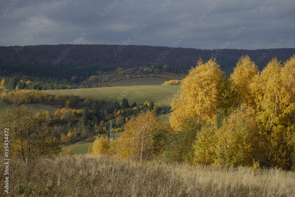 Fototapeta premium Park Krajobrazowy Pogorza Przemyskiego.
