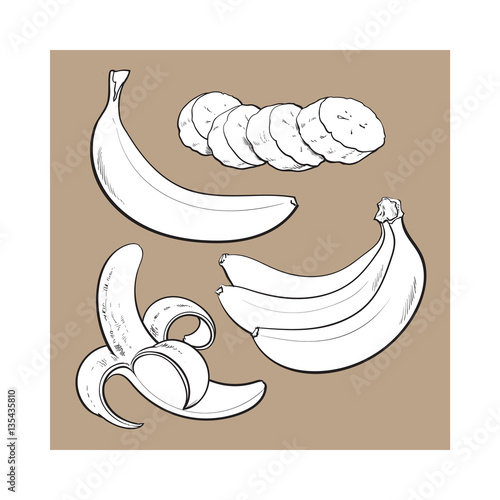black and white Sliced, peeled, singl and bunch of three ripe banana, sketch style vector illustration isolated. Realistic hand drawing of whole, peeled, sliced banana and a bunch of three bananas