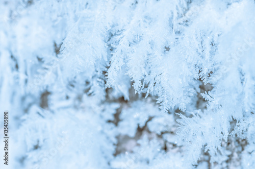 beautiful hoarfrost, winter christmas background
