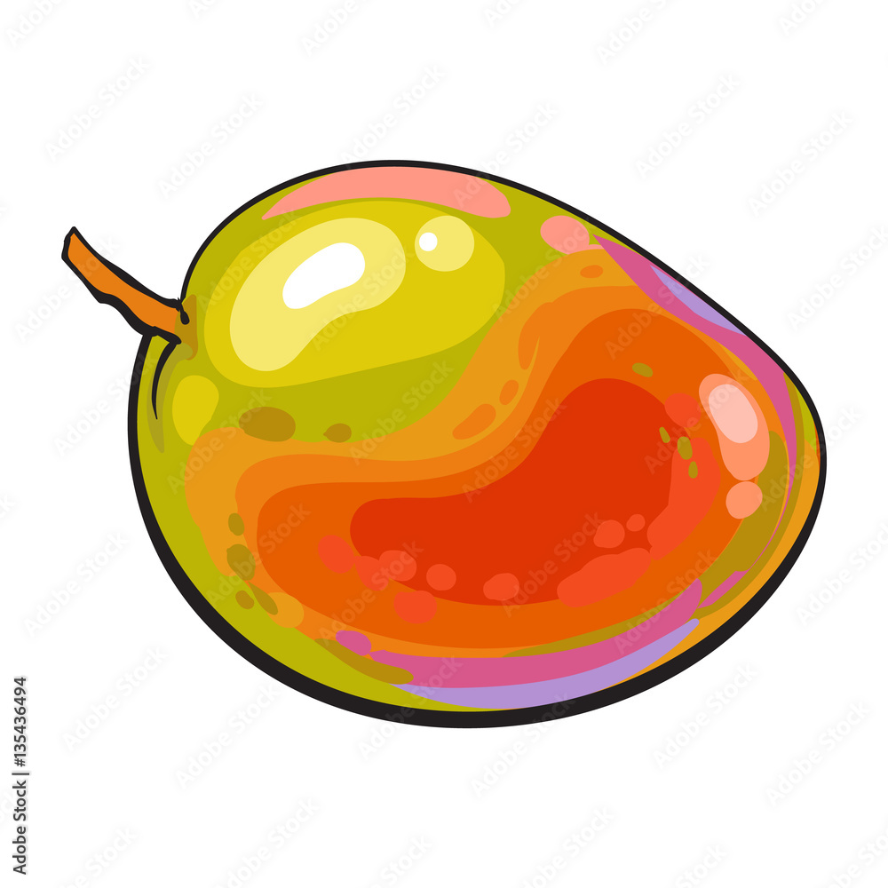 351000 Fruit Drawings Illustrations RoyaltyFree Vector Graphics  Clip  Art  iStock  Peach drawing Leaf