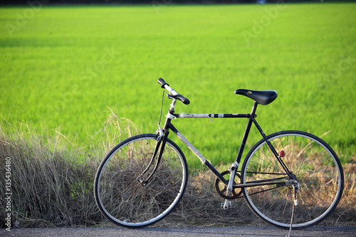 vintage bicycle with green rural field background