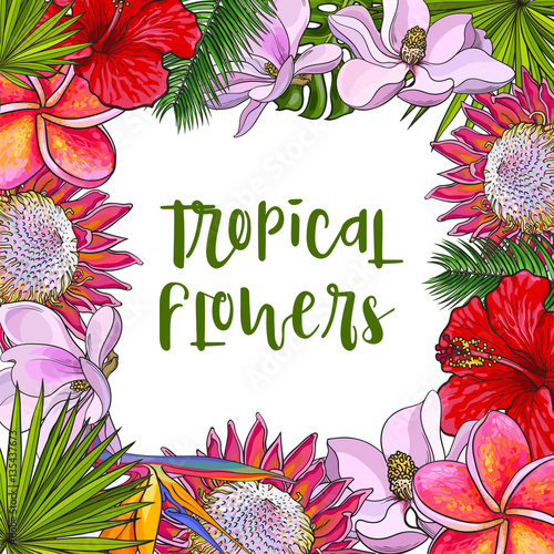 Square frame of tropical flowers and palm leaves with place for text, sketch vector illustration. Hand drawn realistic exotic, tropical flowers and palm leaves as square frame, banner, label design