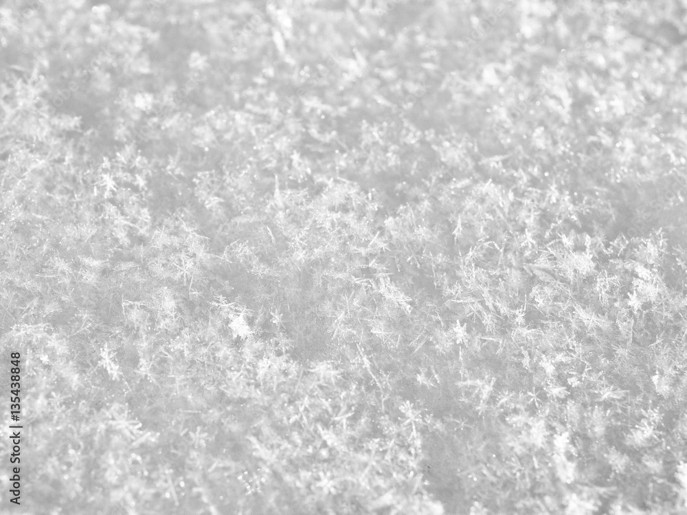 texture of white snow sparkling in the sun