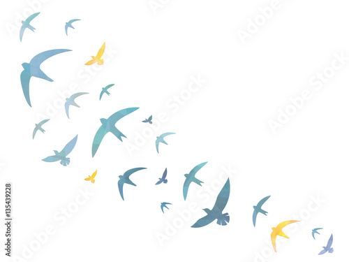 Birds in the sky – Background photo