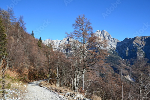 Dolomiti Friulane - M.te Duranno (visto dalla val Zemola) photo