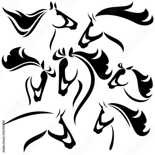 horse head outlines - vector set of fine black and white design