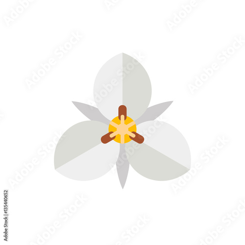 White mariposa flower icon