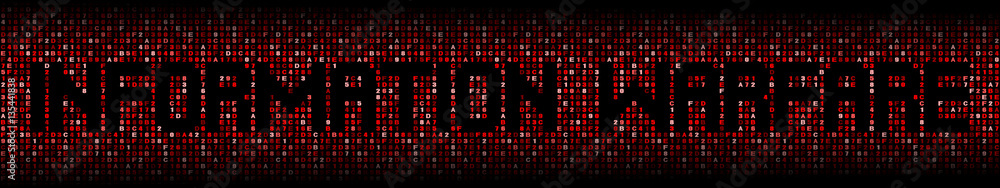 Information Warfare text on hex code illustration