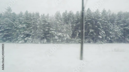 View from the train window to the winter landscape.