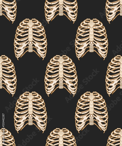 Seamless pattern with human rib cage. Line art style. Boho vector illustration