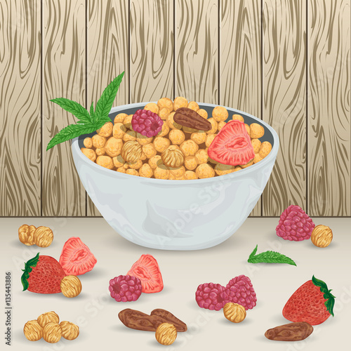 Cereal balls in bowl with raspberry, strawberry, hazelnut, brazil nut and mint leaves on wooden background. Healthy breakfast. Isolated elements. Hand drawn vector illustration