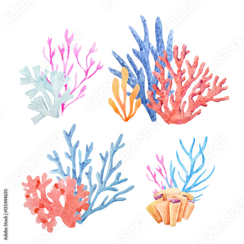 Watercolor vector underwater corals