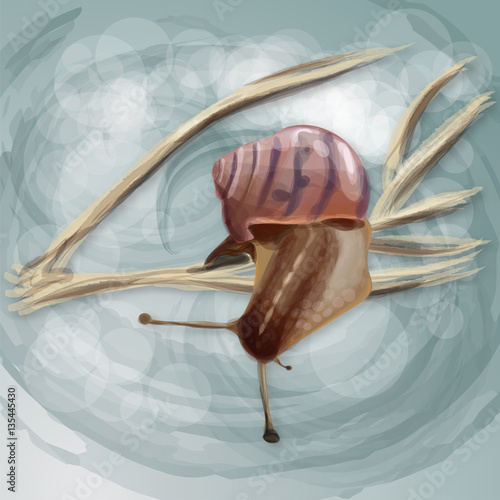 Realistic snail on a branch