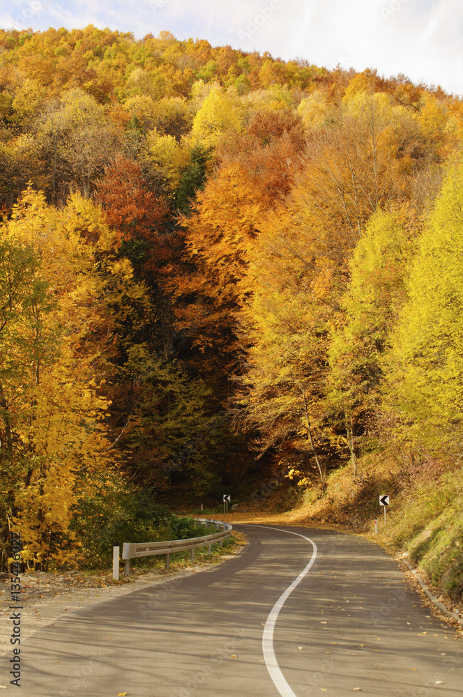 Naklejka premium Fall in Bosnia