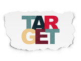 Business concept: Target on Torn Paper background