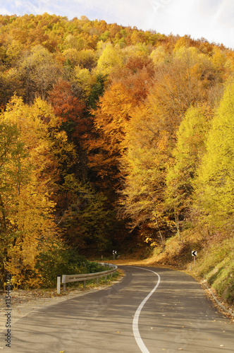 Fall in Bosnia