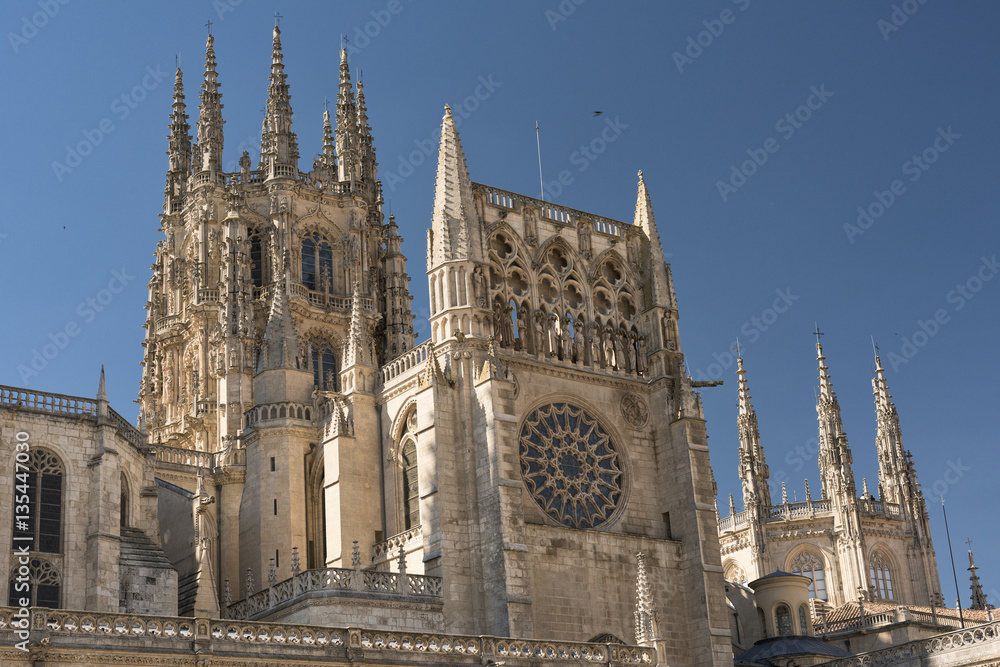 Fototapeta premium Burgos (Spain): cathedral