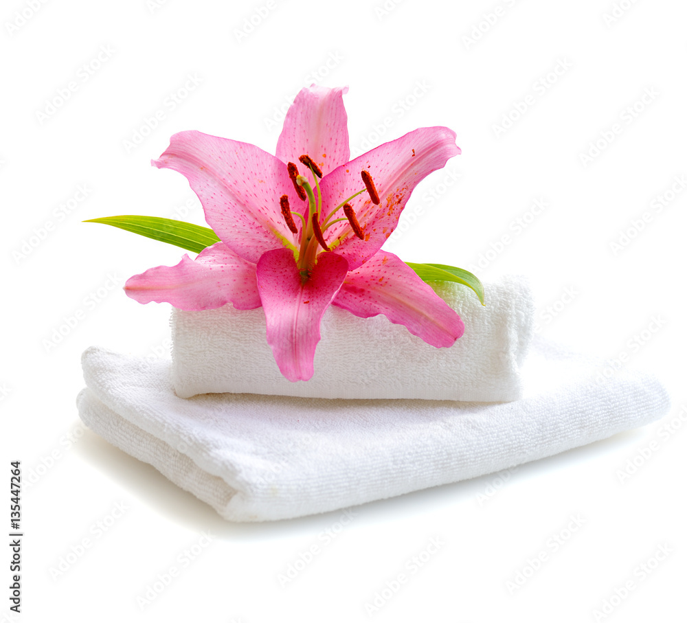 white towels and pink lily flower white towels and pink lily flower