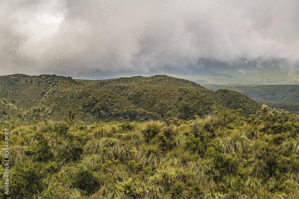 Andean landscape scene at Cotopaxi national park, Ecuador