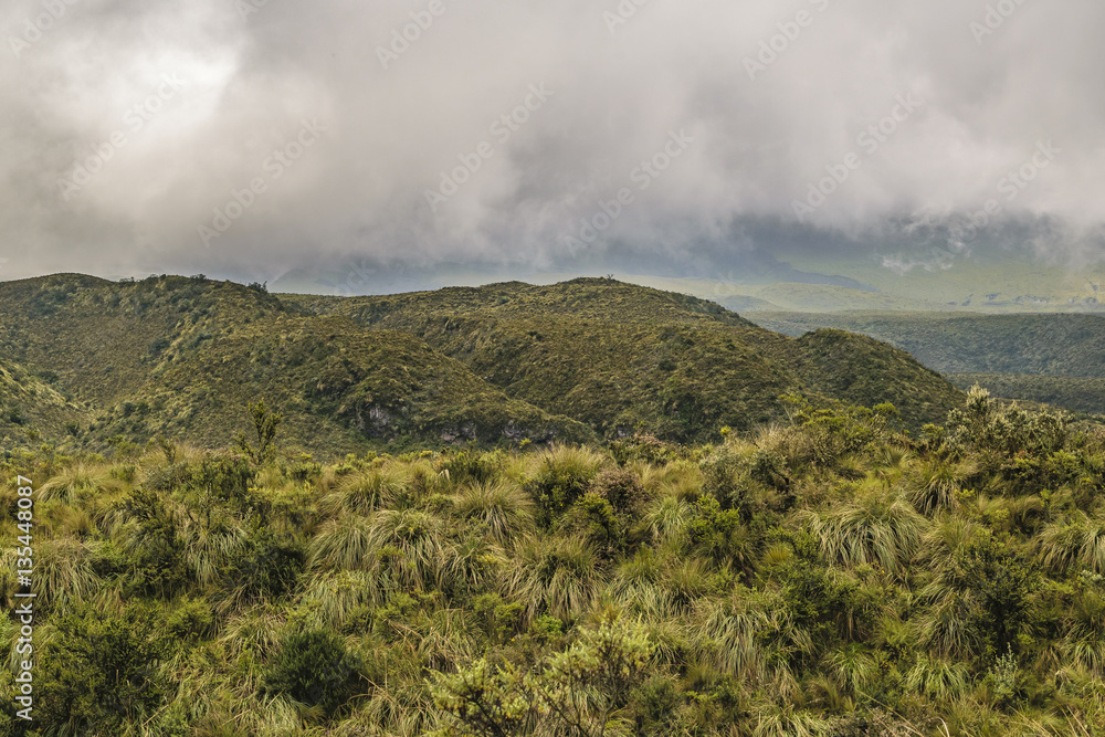 Andean landscape scene at Cotopaxi national park, Ecuador Andean landscape scene at Cotopaxi national park, Ecuador
