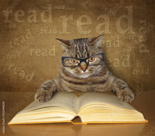 The clever cat with glasses sits at a table and reads a book.