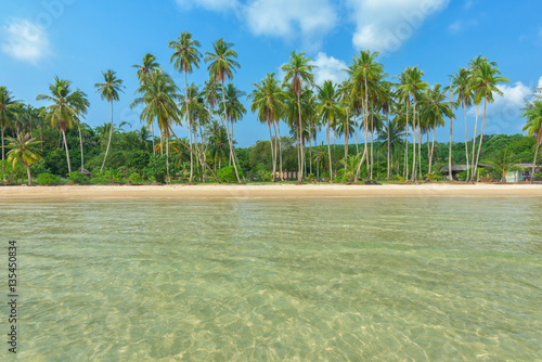  Beautiful tropical beach and coconut tree